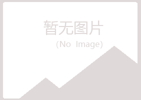 宜川县白山会计有限公司